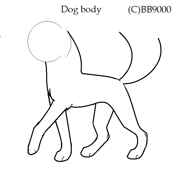 DB.PNG