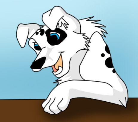 dalmationadopt.jpg