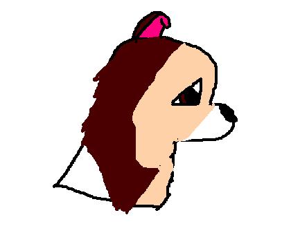 fjfykd.JPG