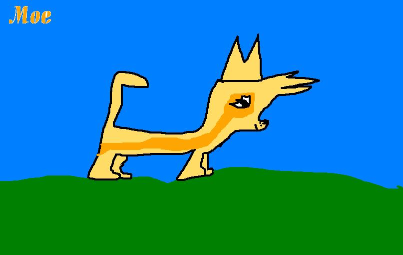 MoeA.M..JPG