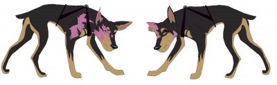 wipp.png