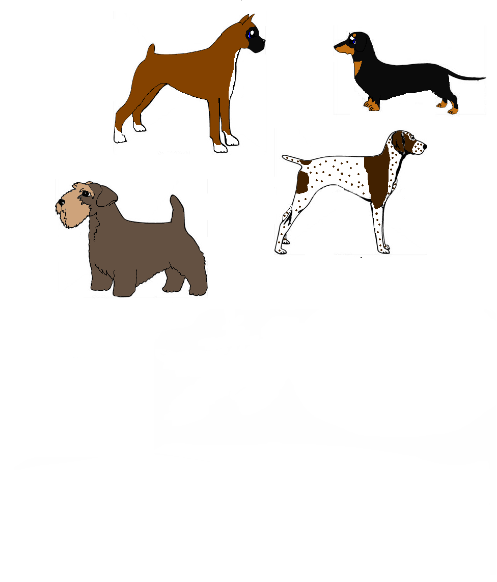 Three Pupsfhgf.PNG