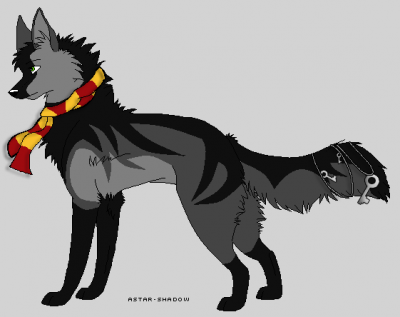 blackdesign.png