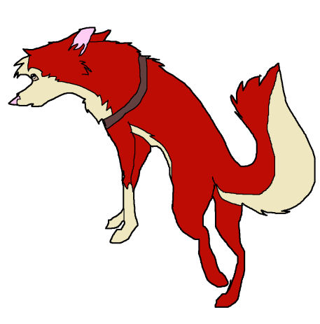 dingo!!.jpg