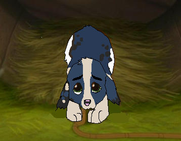 fox_133.PNG