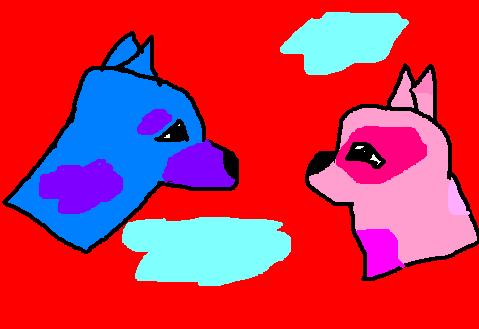 imageHH2.jpg