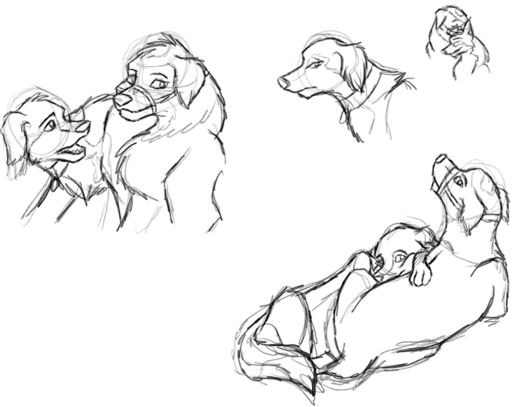 Sketches.png