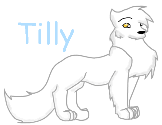 Tilly.gif