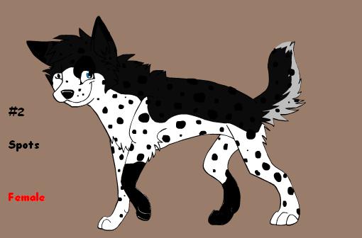 Spots.JPG