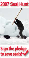 seal banner.gif