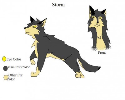 Storm.jpg