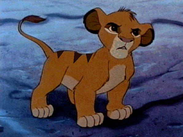 Tiger.jpg