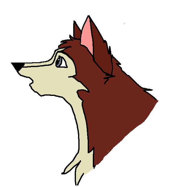 Dingo 3.jpg