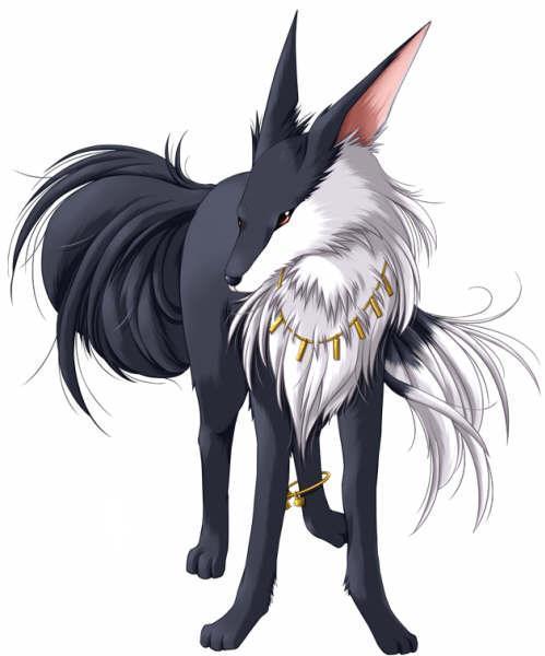 Korra-Wolf.jpg