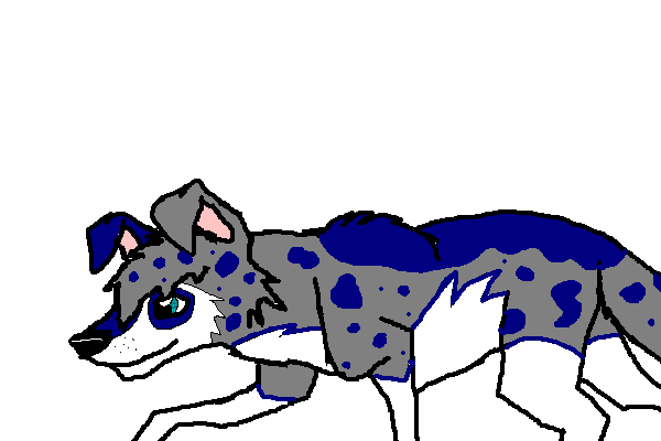 runts brother.PNG