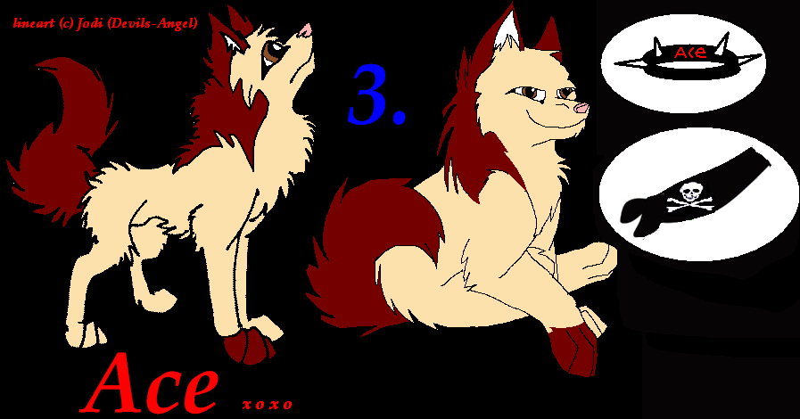 Ace.PNG