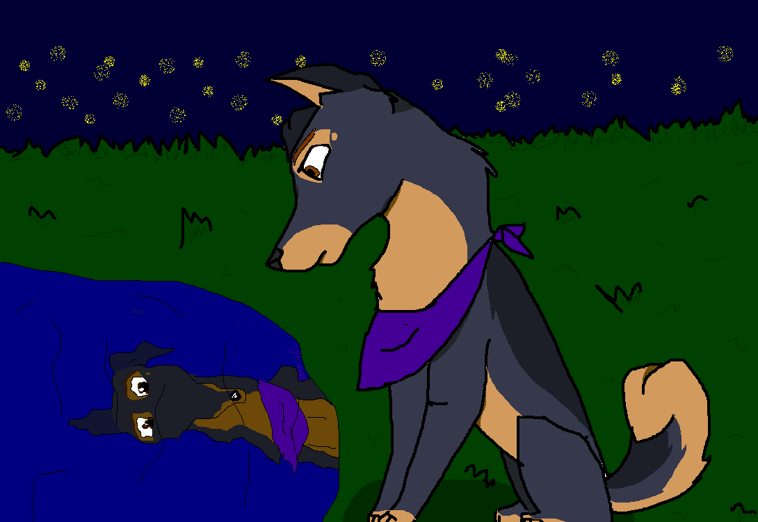 reflection.PNG