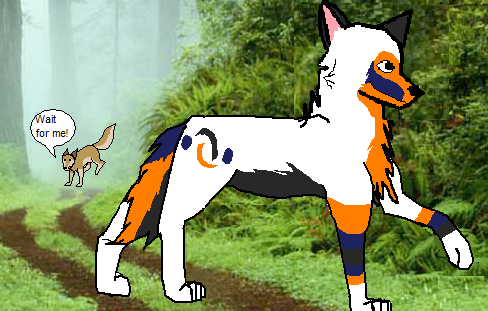 shock wave and alue.png