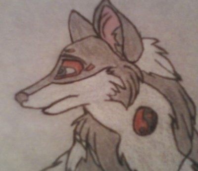 Troy's Head2.jpg