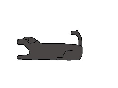 ash.jpg