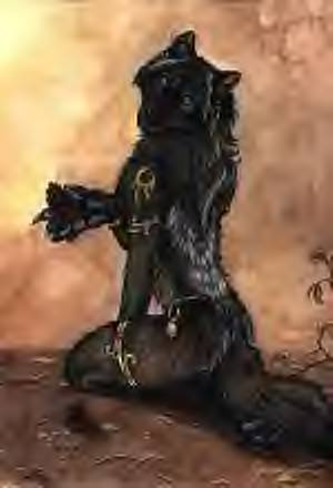 Dayla.alphafemale.wolf.jpg