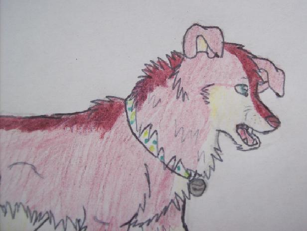 Autta1.jpg