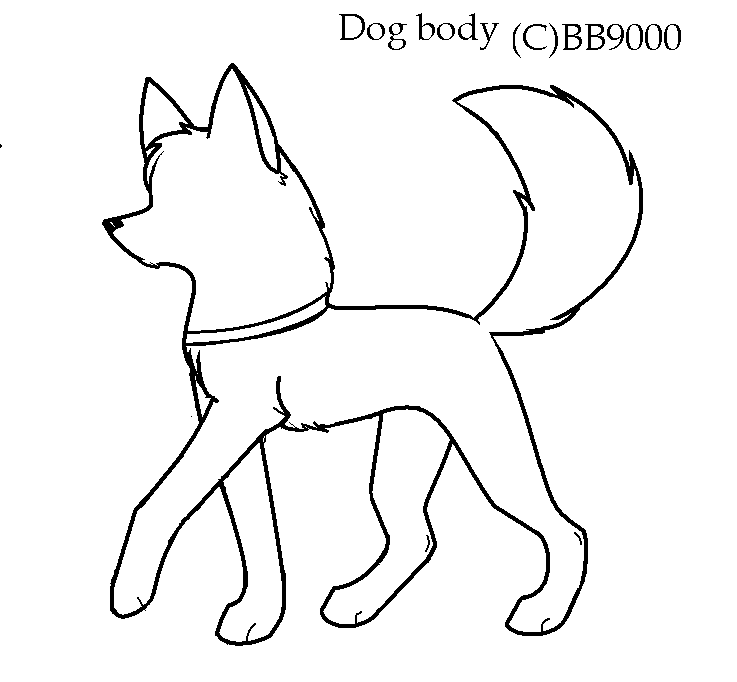 DB.PNG