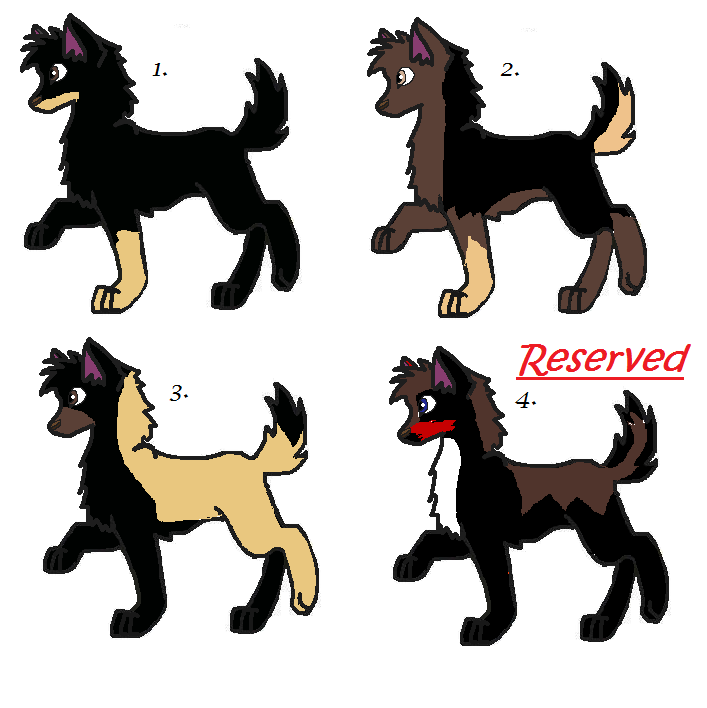 janda.png