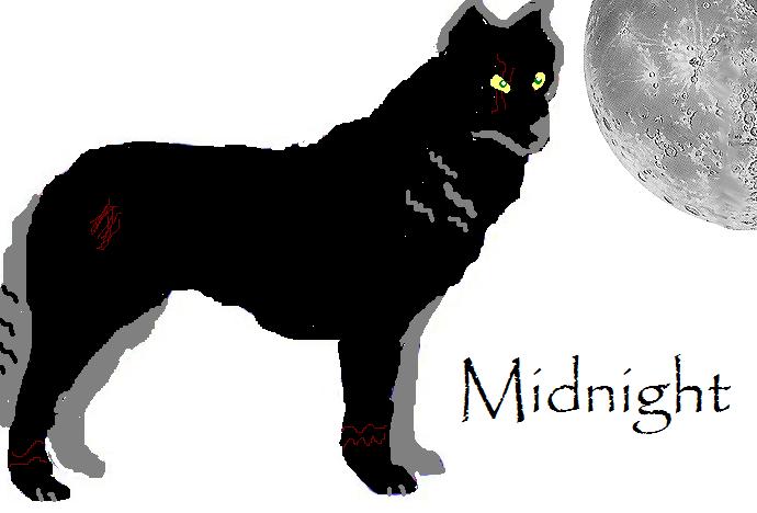 Mignight.JPG