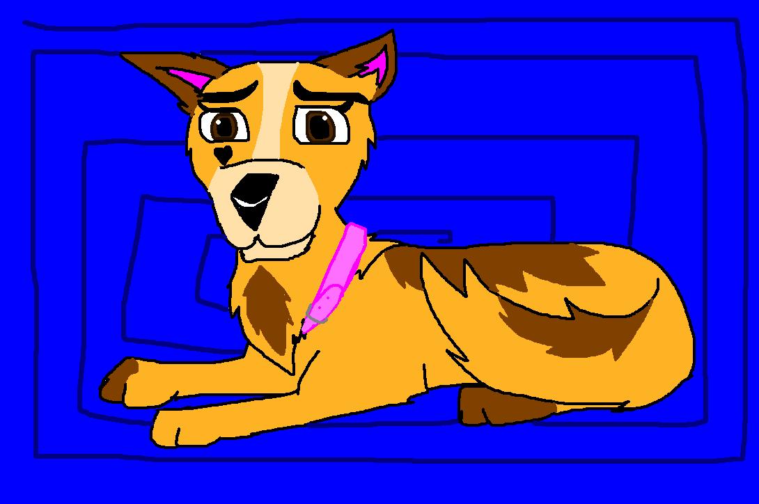try to adopt...JPG