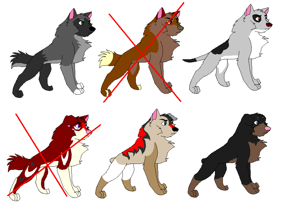 Batch 8.PNG