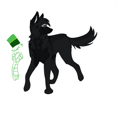 wolgff.png
