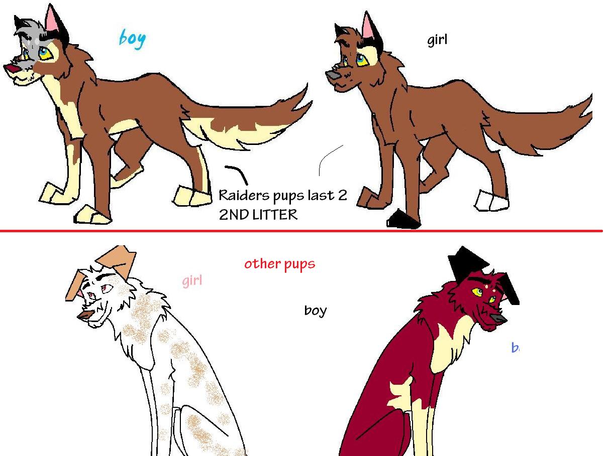 more adoptees4.jpg