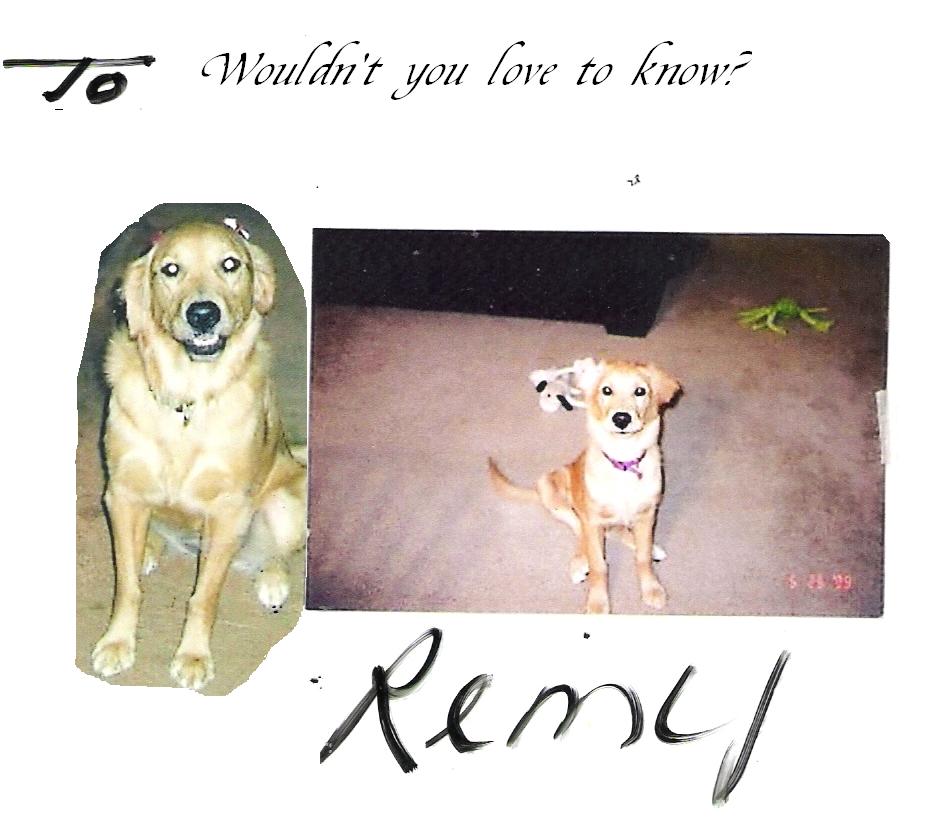 Remy current and old.JPG