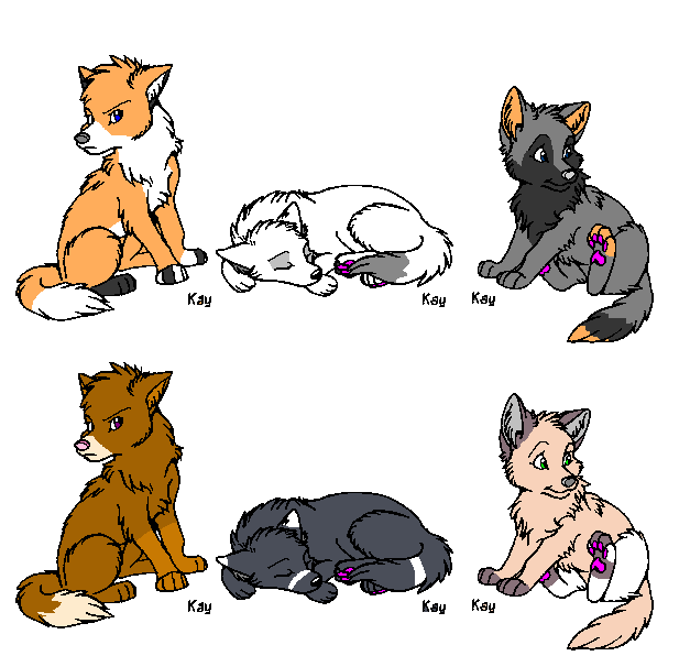 Puppies to adopt.PNG