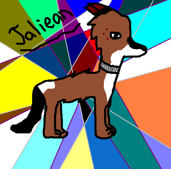 pic one.PNG