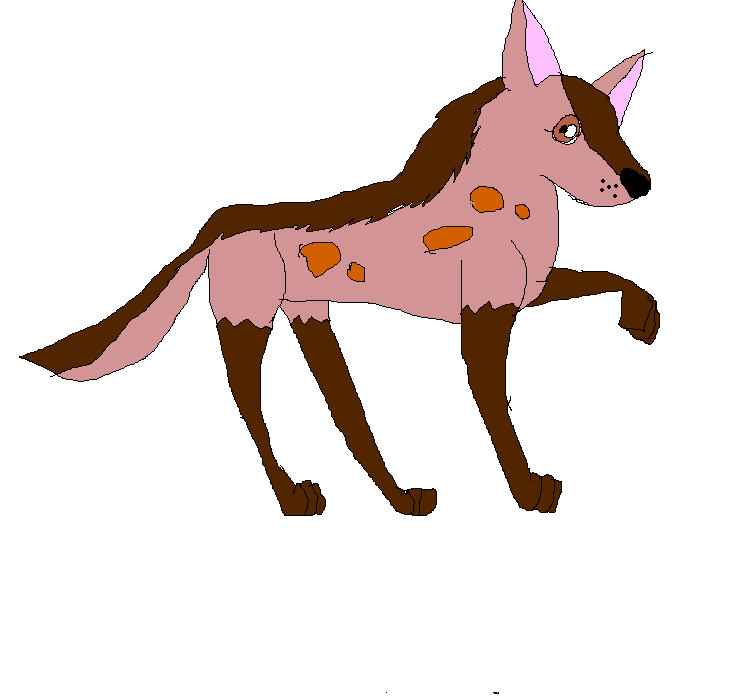 sandy.PNG