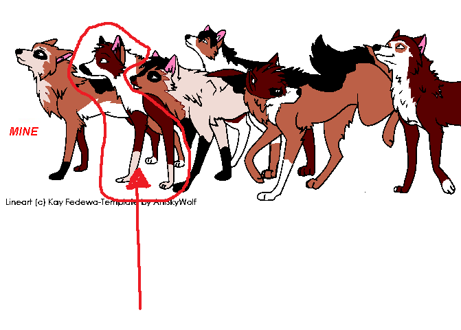 PUP1.PNG