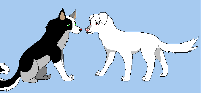 untitled.GIF