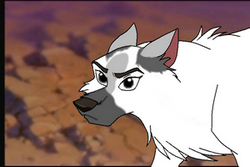 Belle.png