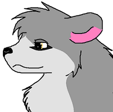 1kish.PNG
