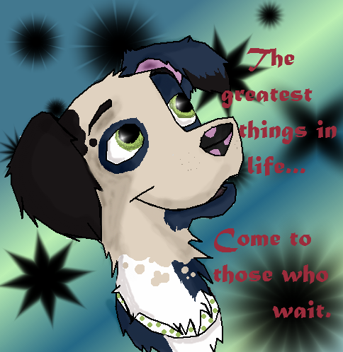 Pami2.png