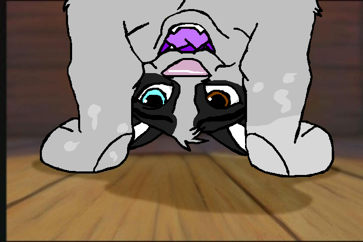 Fontan.PNG