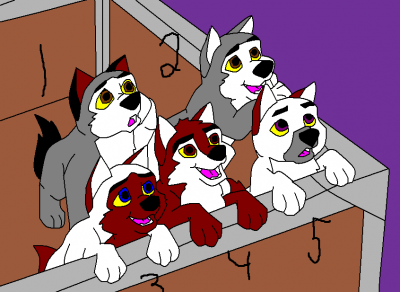 Pups Adoptable.png