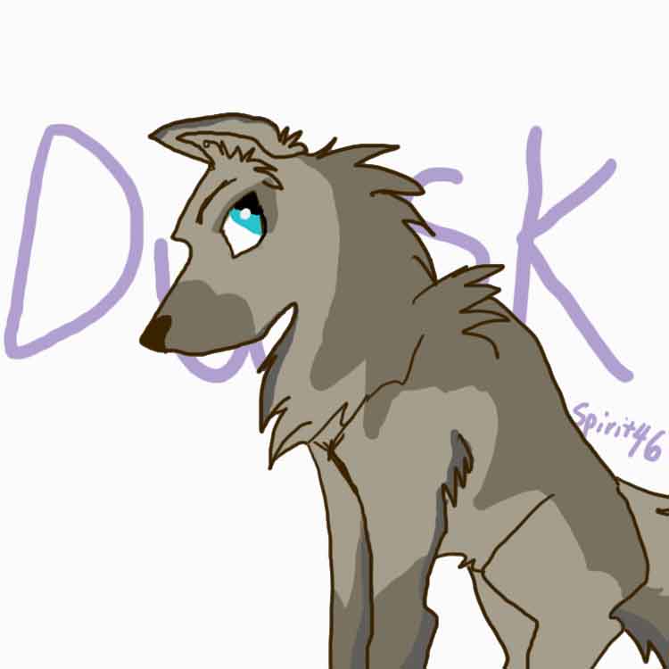 Dusk.jpg