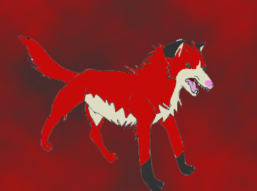 IMG_0001.png