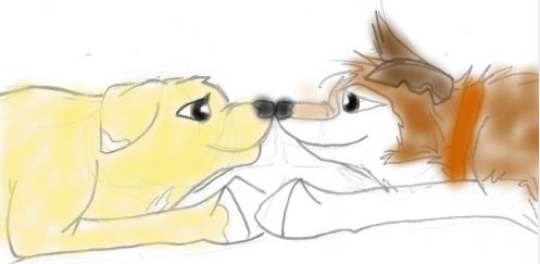 new dog.JPG