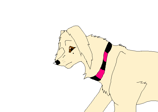 blondie.PNG