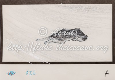 ADS_8326.jpg