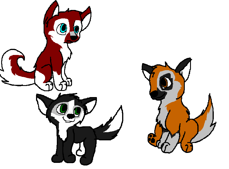 puppies 1 2 3.PNG